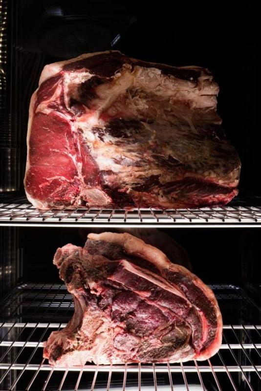 Dozrievací box na mäso, MEATICO – EVERLASTING